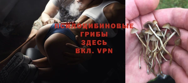 бутират Абаза
