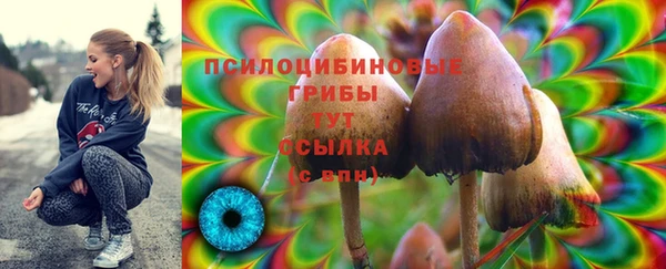 дурь Абдулино