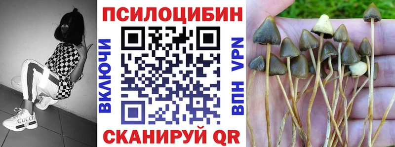 Галлюциногенные грибы мухоморы  где продают наркотики  Зубцов 
